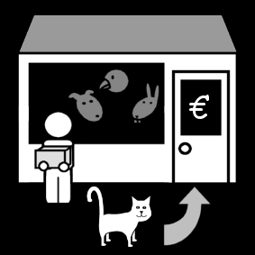 cat: bring to petshop